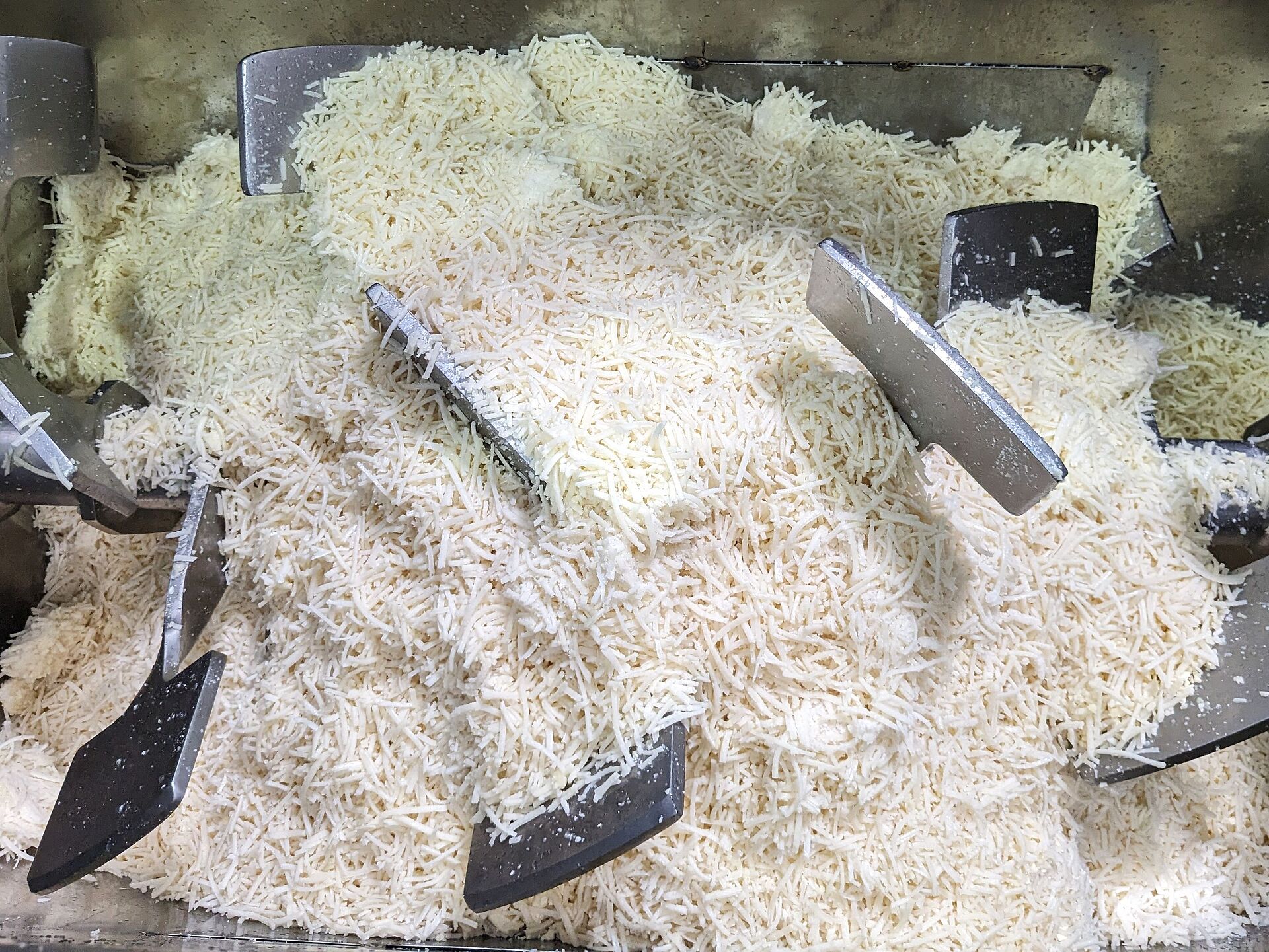 Cheese blend in an APS paddle blender