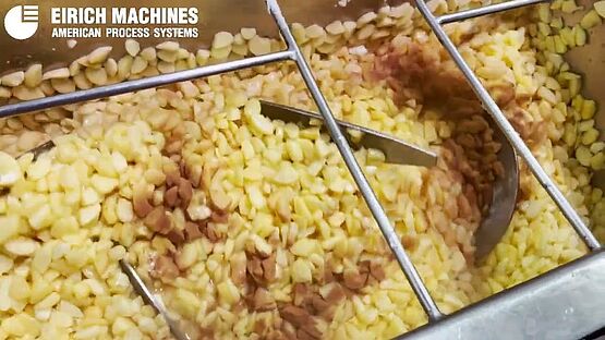 Mixing Apple Slices, Sugar, and Cinnamon in a Paddle Ribbon Blender