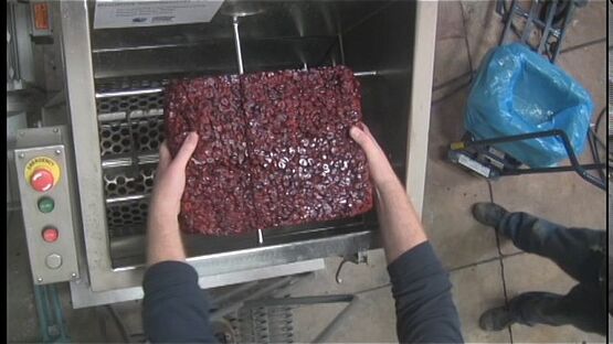 Delumping Cranberries - American Process Systems® (APS)